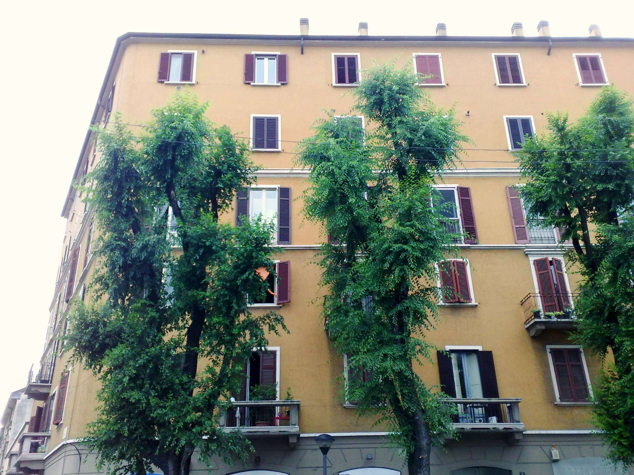  milano affitto quart: v giornate ranieri immobili srl