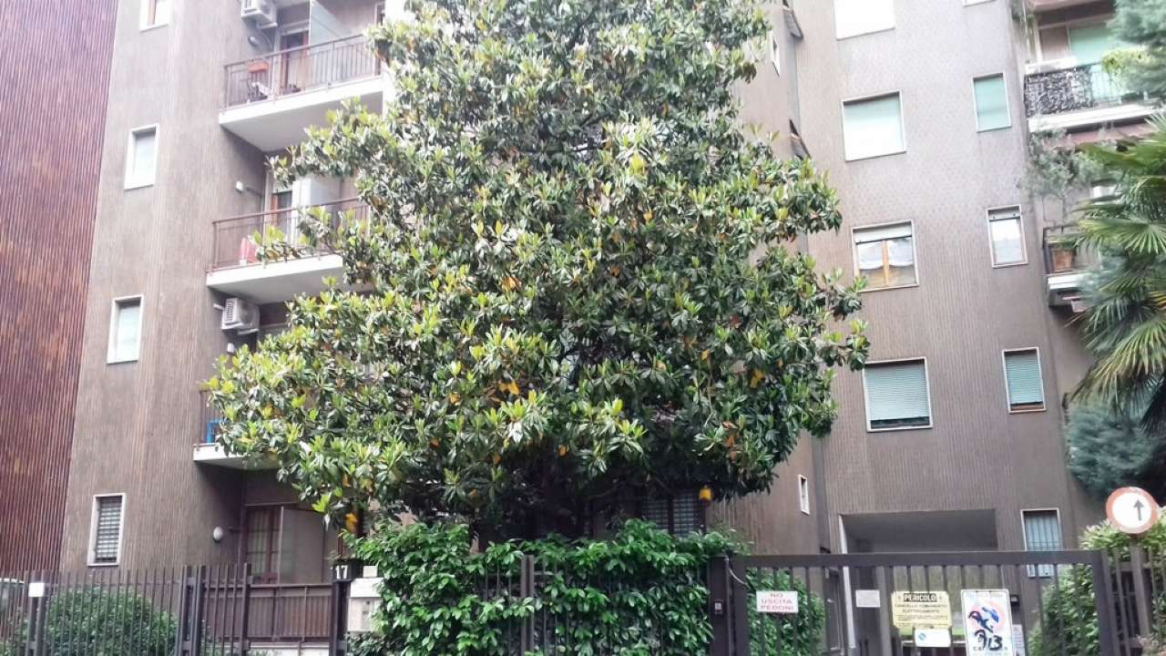 Appartamento MILANO affitto  BUENOS AIRES maiocchi Valore Case