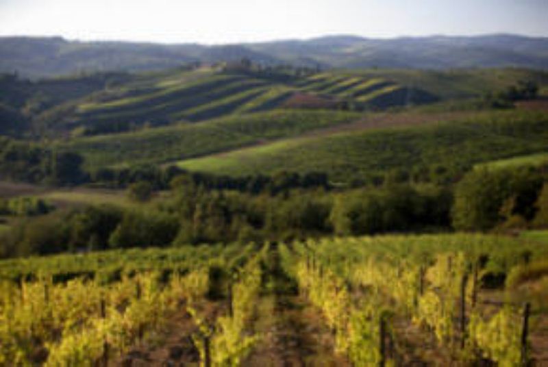 Sinalunga  - Speciale Toscana  - 3472 mq