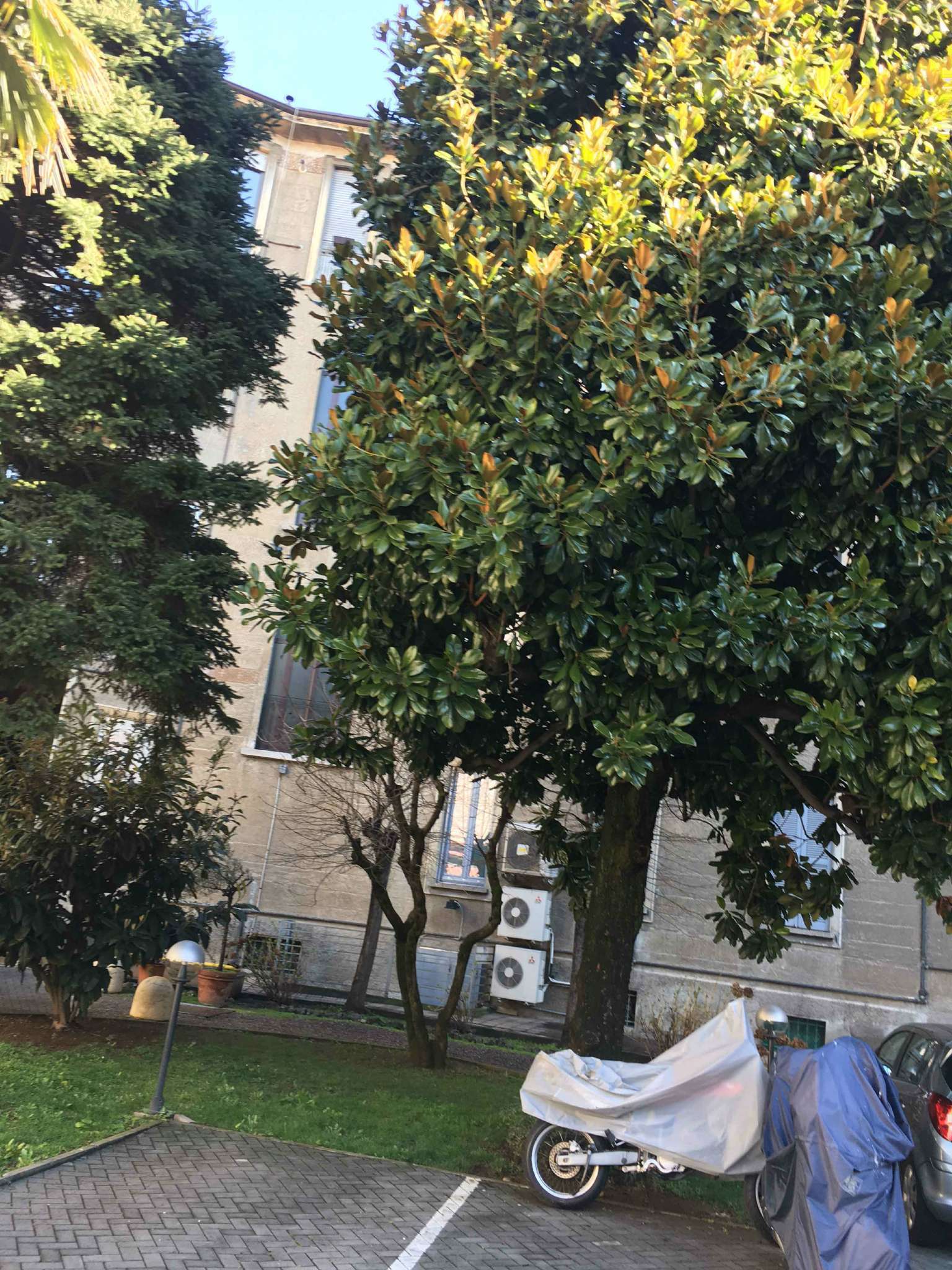 Box auto - Posto auto MILANO affitto  V GIORNATE  ROSSI  & PROCIDA SNC