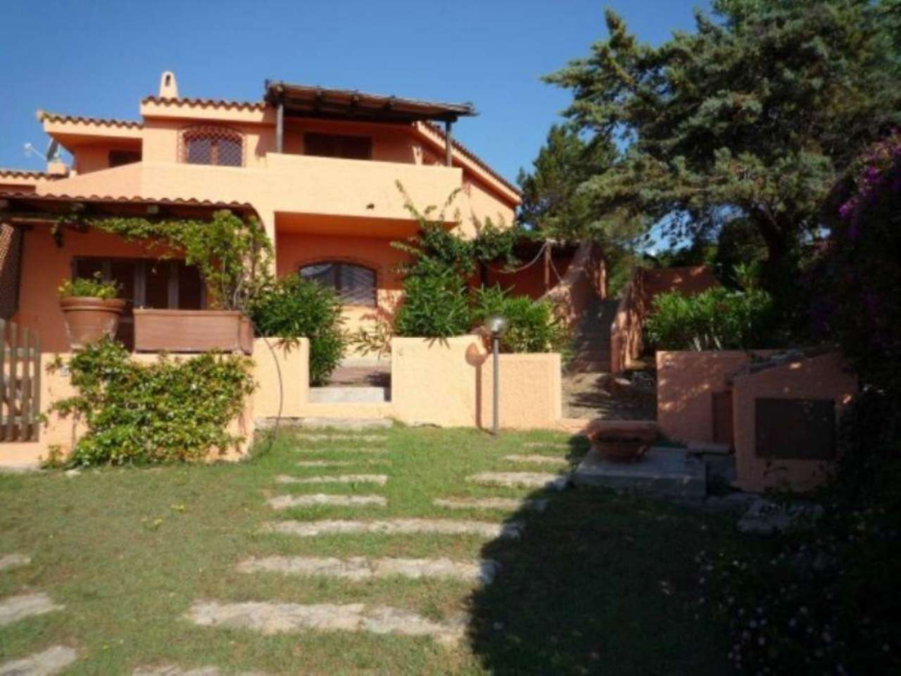 Appartamento PALAU affitto   località Porto Rafael Immobiliare Antei Srl