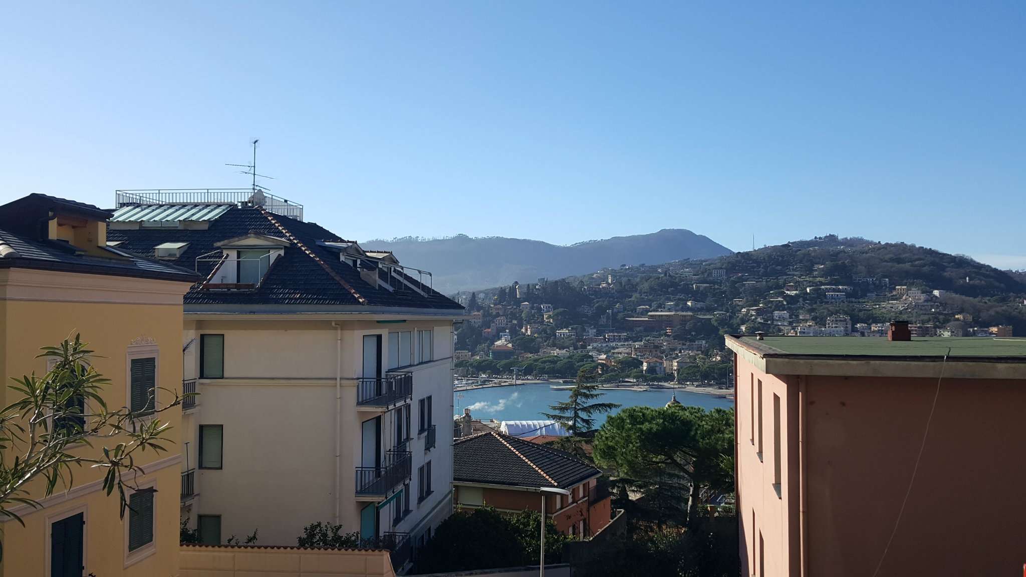 Appartamento RAPALLO vendita   Bozzo Costa A.M. Immobili