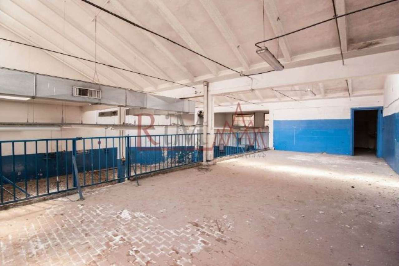 Capannoni (Tutti) MILANO vendita  DE ANGELI Desenzano RIM Restyling Immobiliare Milano