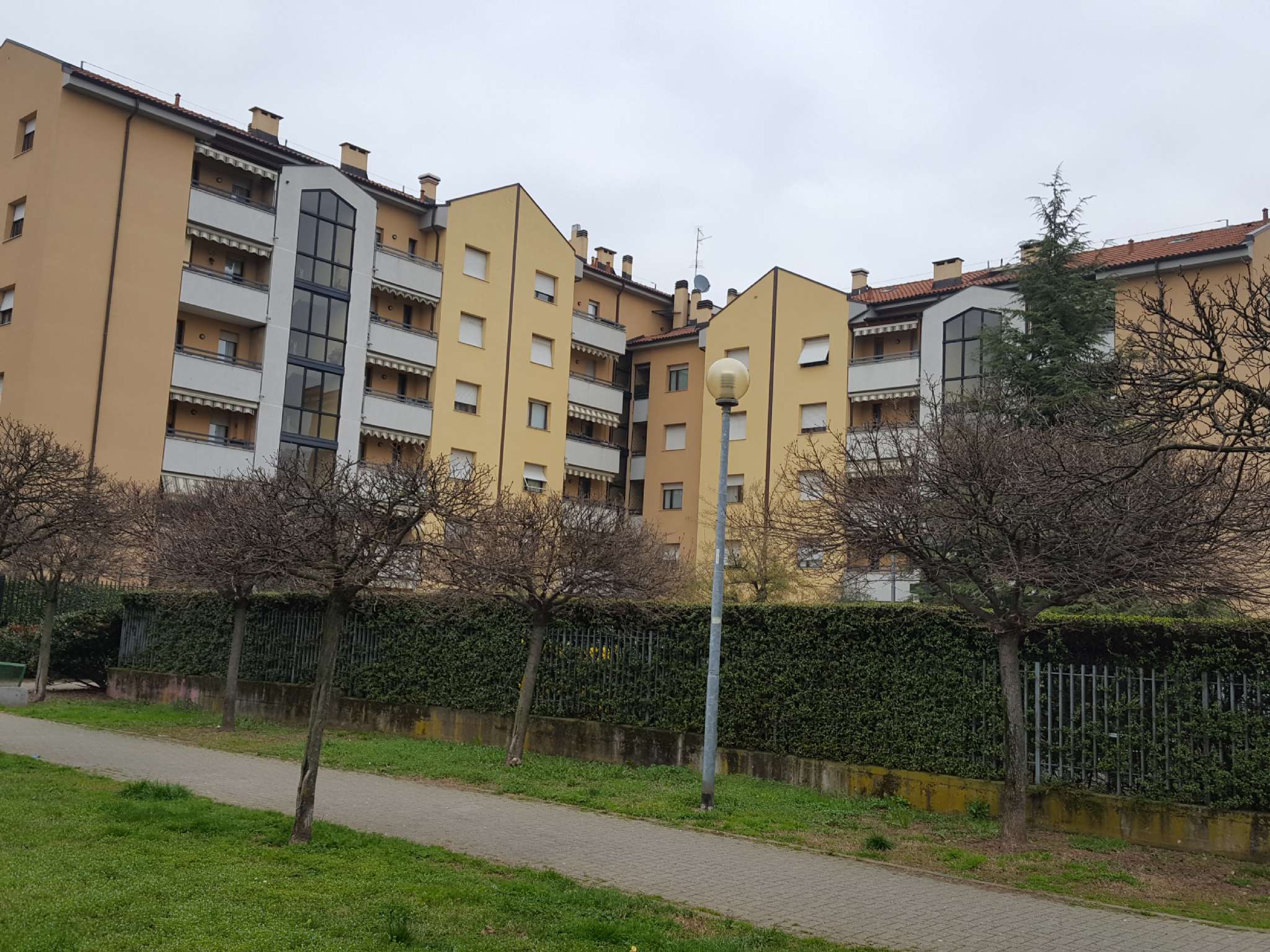 Appartamento MONZA affitto  TRIANTE Via Fiore Martelli IMMOBILIARE PROMETEO.COM SRL