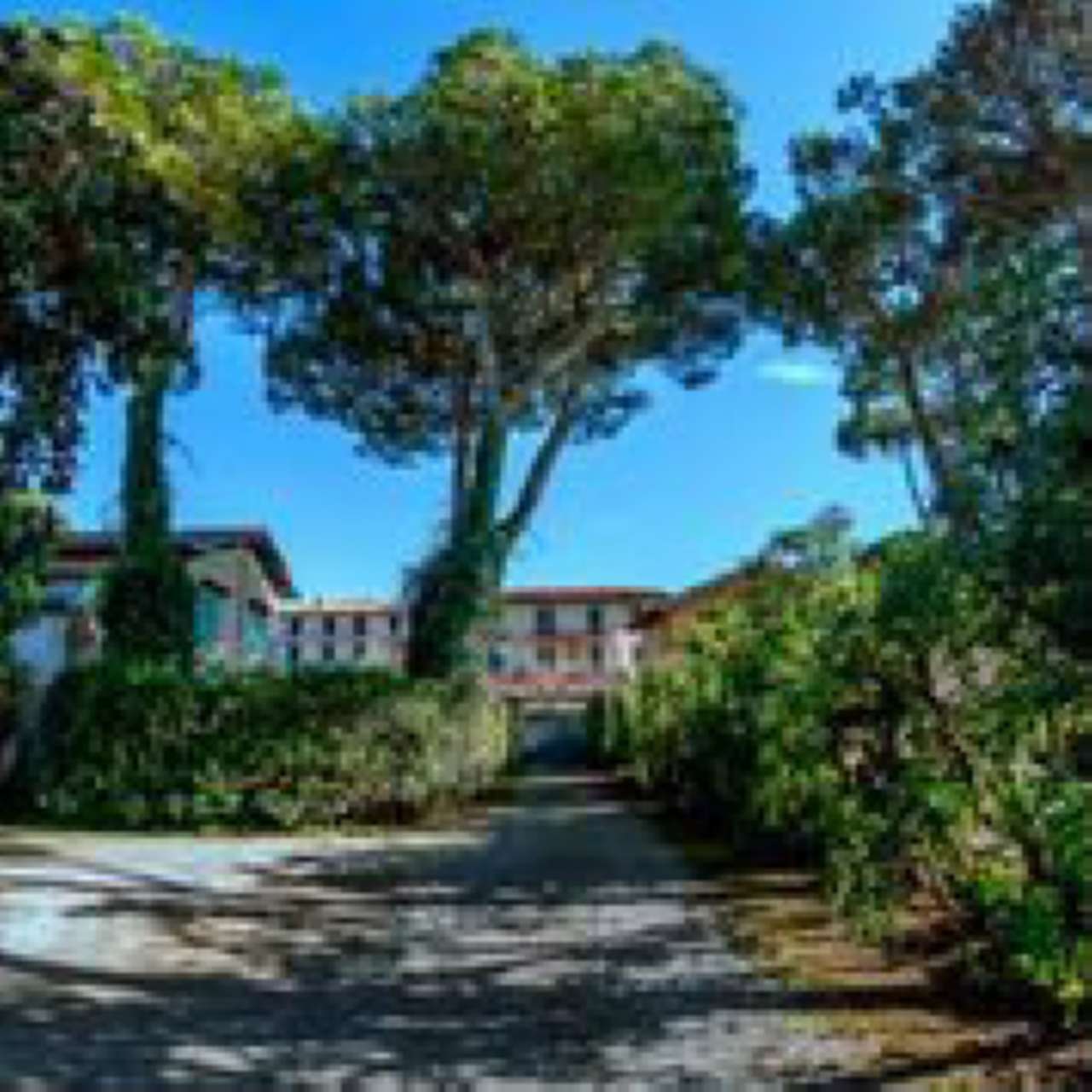 Villa FORTE DEI MARMI vendita   MORIN MD IMMOBILIARE