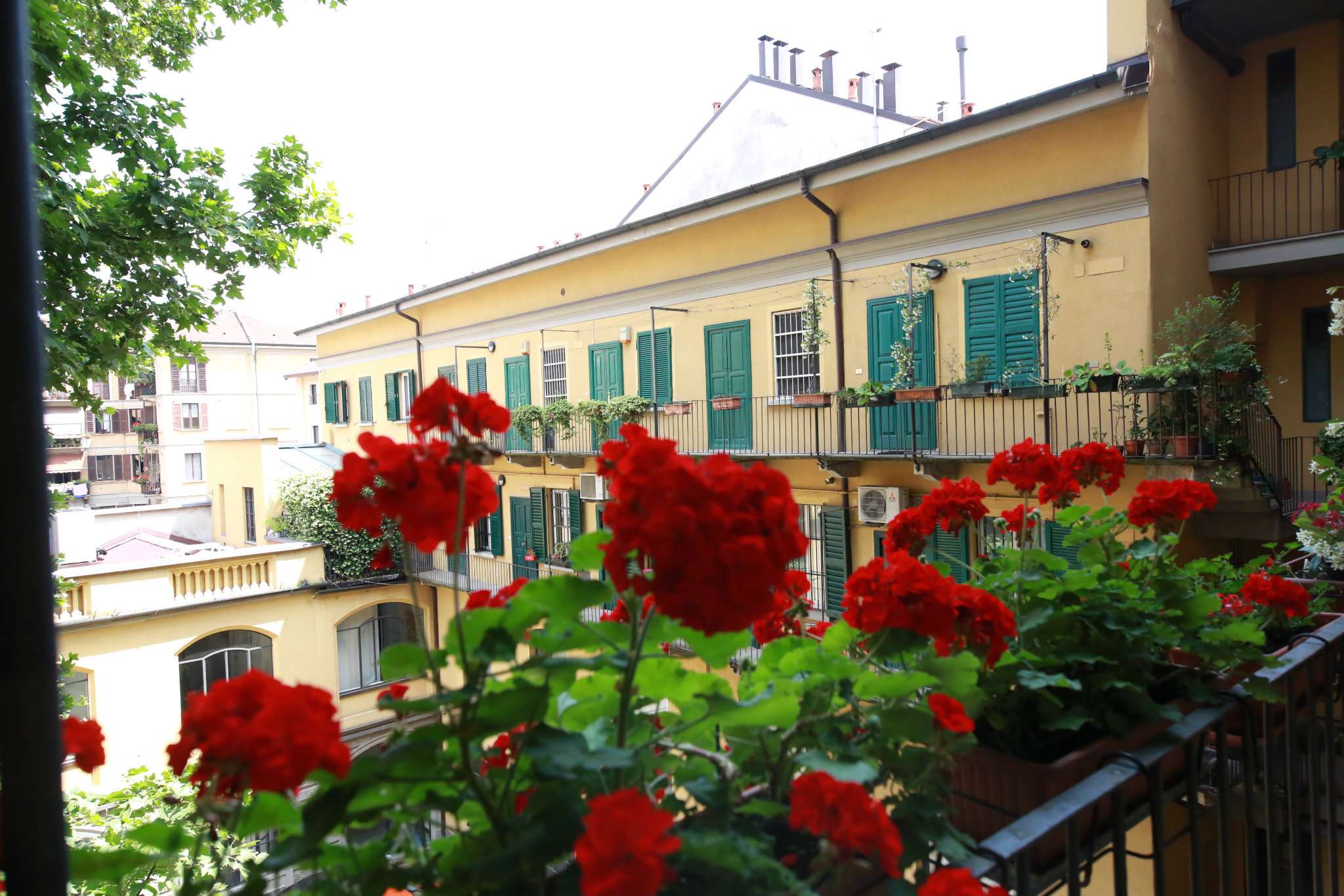 Appartamento MILANO vendita  CENTRO STORICO Premuda Immobili di Pregio srl