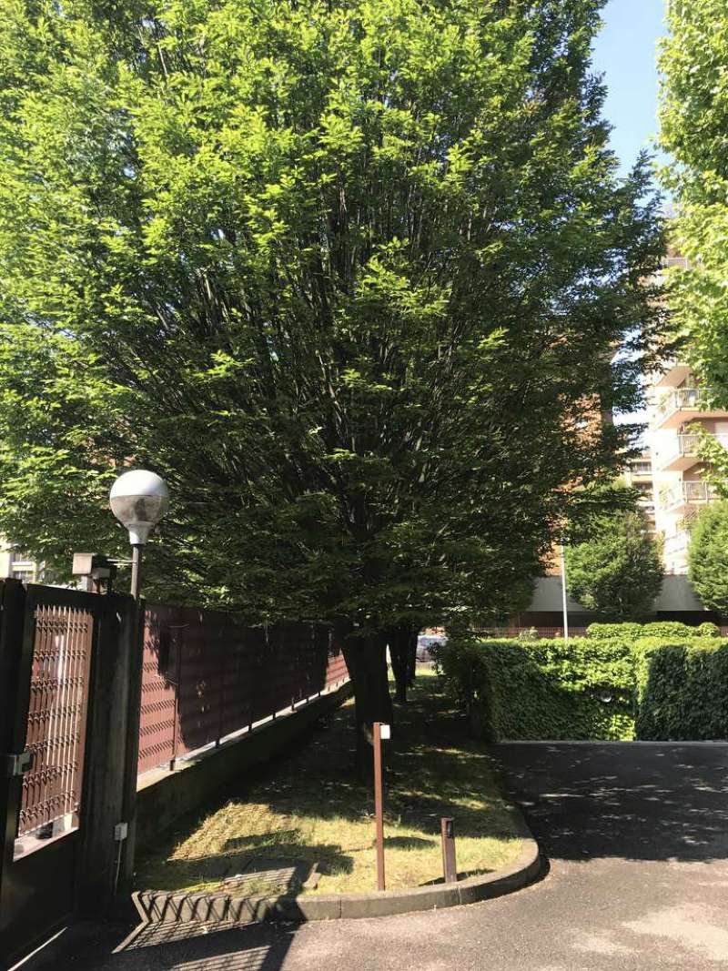 Ufficio - Loc.Com. MILANO vendita  BICOCCA Lussu Coifil srl