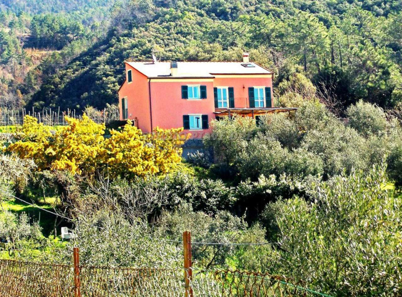 Villa BONASSOLA vendita   san giorgio studio piave due sas