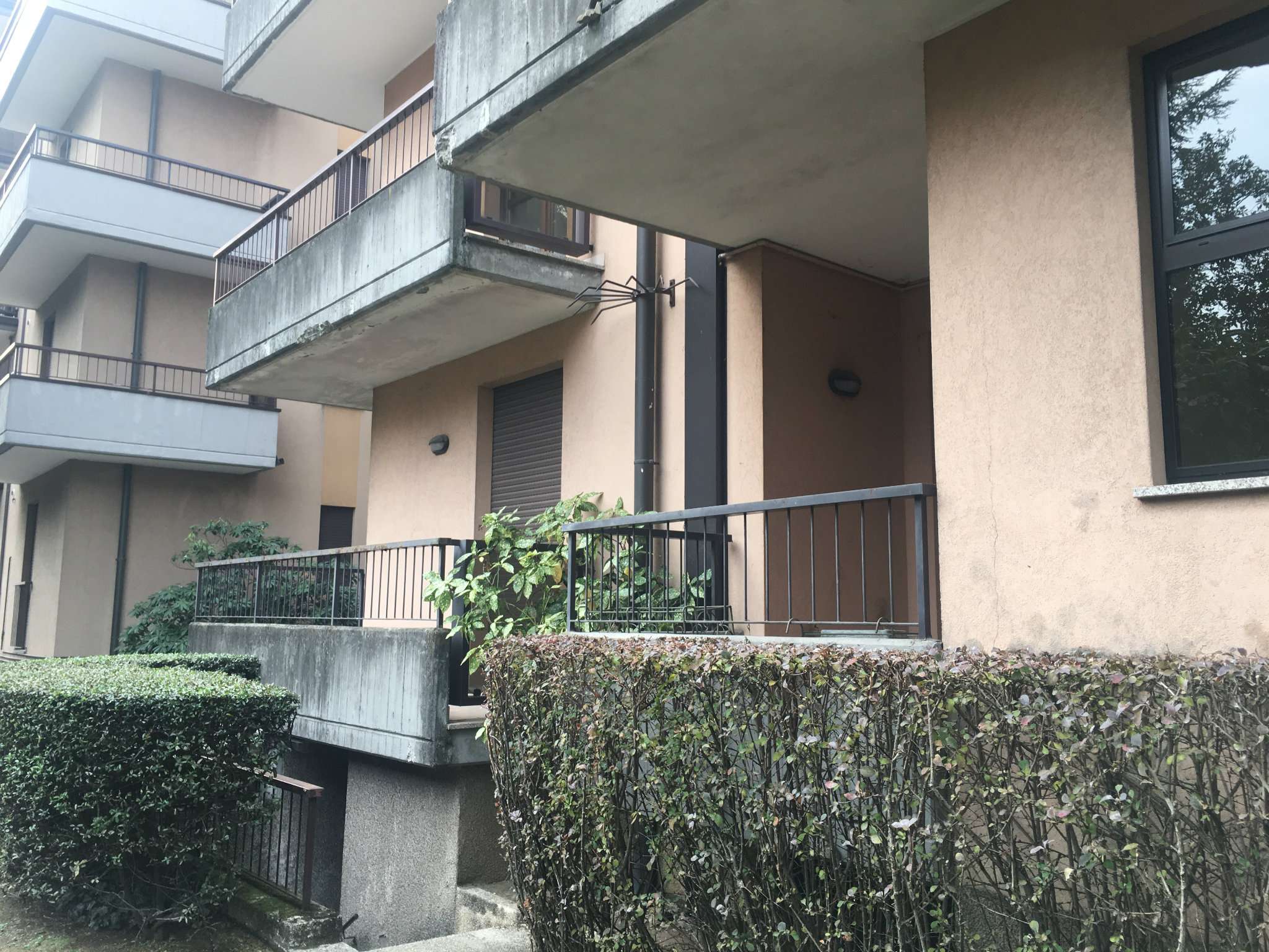 Appartamento BUSTO ARSIZIO vendita   XXSETTEMBRE Bosco Immobiliare