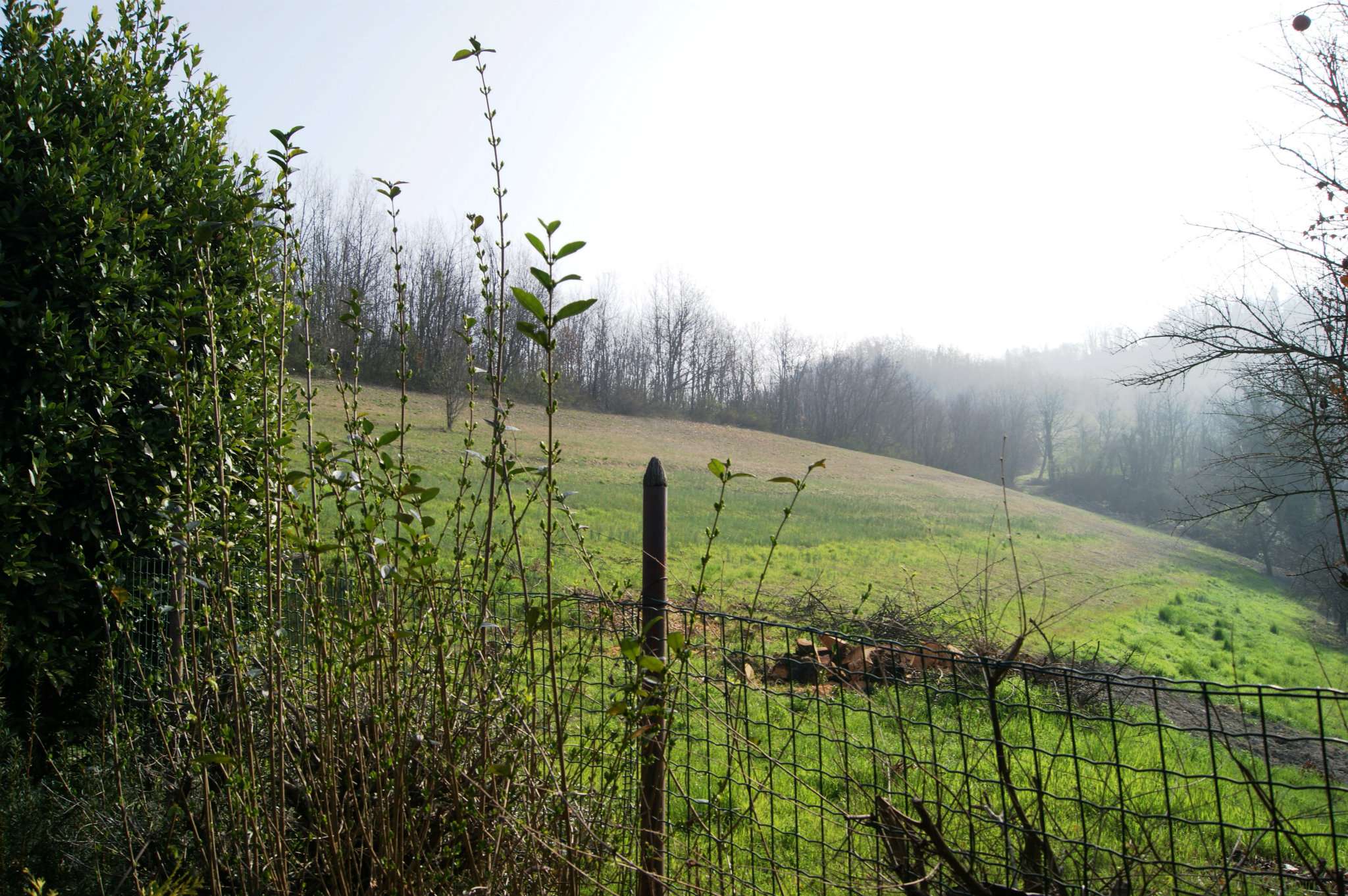 Villa Unifamiliare - Indipendente SCIOLZE vendita  collinare Regione Montariolo Martinetto Immobiliare