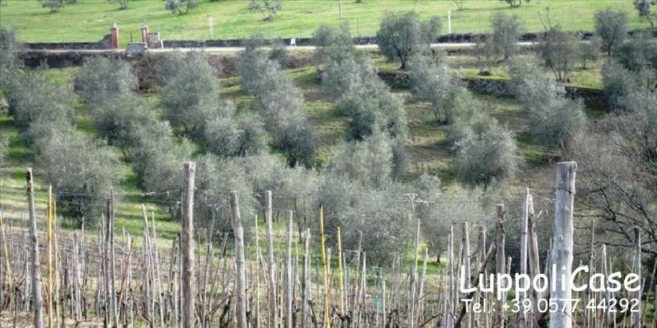 Villa CASTELNUOVO BERARDENGA vendita   Via degli Etruschi Luppoli Case