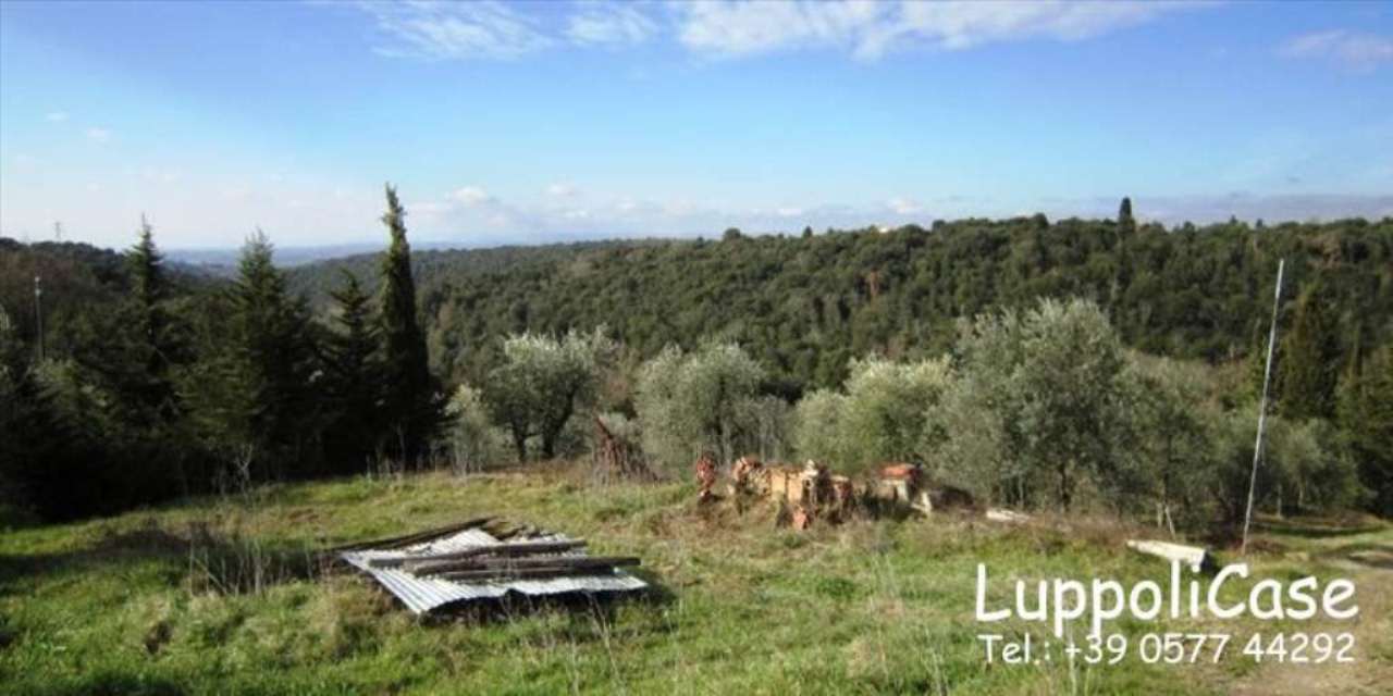 Villa CASTELNUOVO BERARDENGA vendita   Via degli Etruschi Luppoli Case