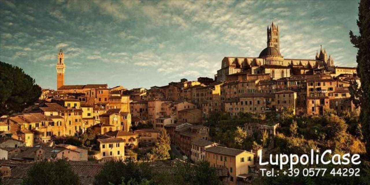 Appartamento SIENA vendita   Piazza Il Campo Luppoli Case