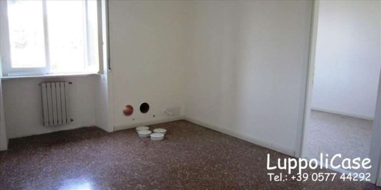  siena affitto quart:  luppoli-case