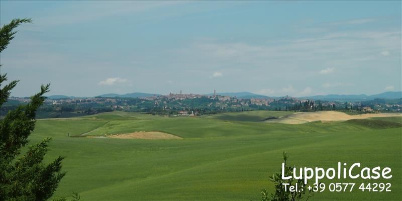  siena vendita quart:  luppoli case