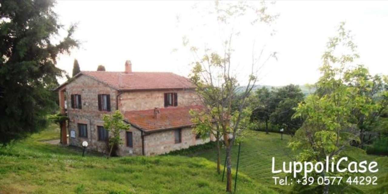 Villa PIENZA vendita   Via Fontanelle Luppoli Case