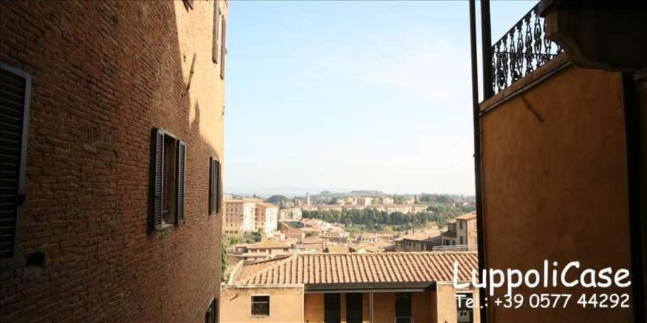  siena affitto quart:  luppoli-case