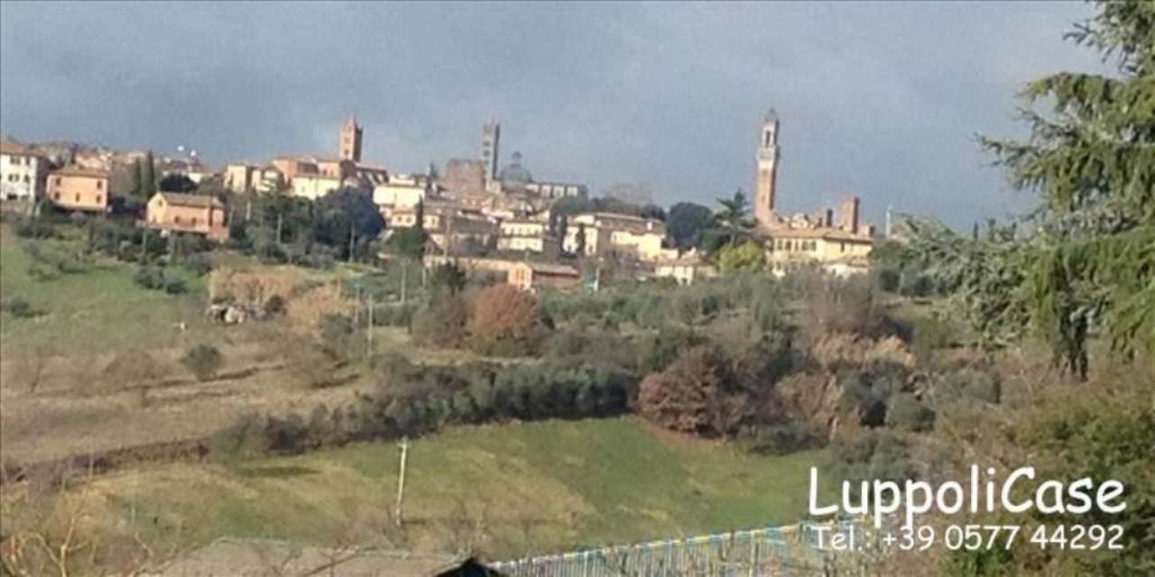  siena vendita quart:  luppoli case