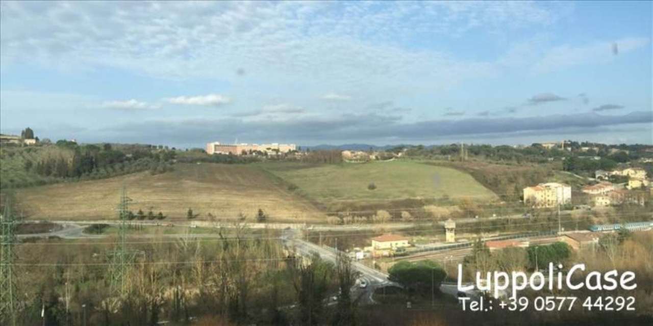 Appartamento SIENA vendita   Viale Vittorio Emanuele II Luppoli Case