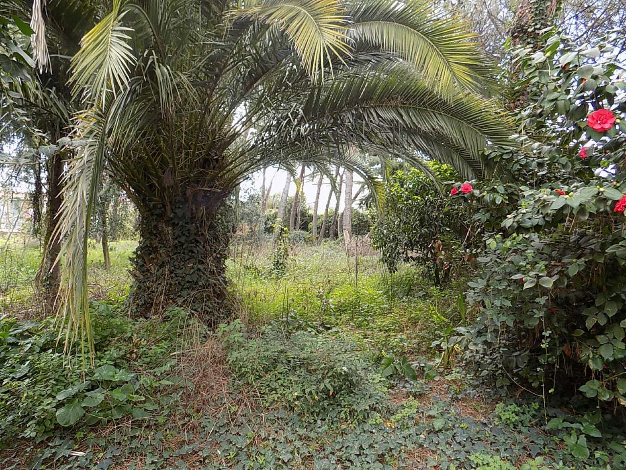 Villa SAN SEBASTIANO AL VESUVIO vendita   II Bruno Buozzi Progetto Casa