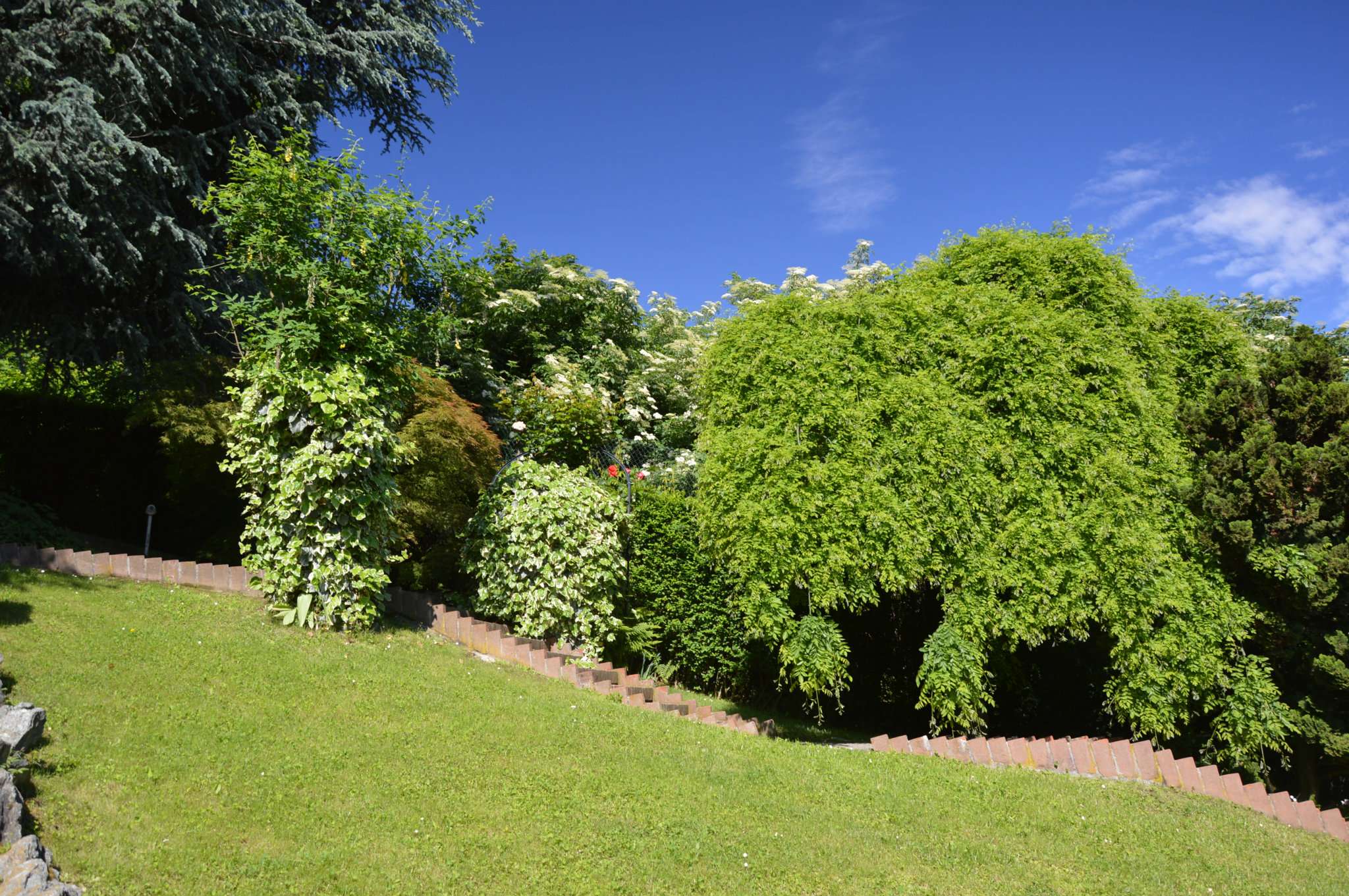 Villa TORINO vendita  PRECOLLINA del morozzo Edilcase