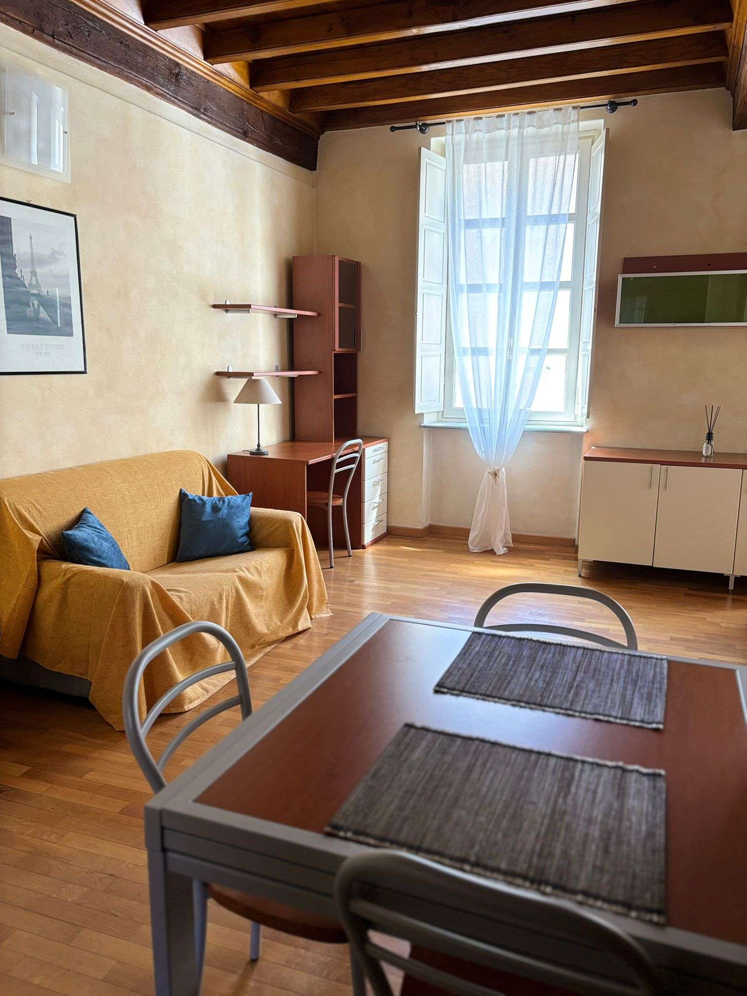 Torino Affitto APPARTAMENTO