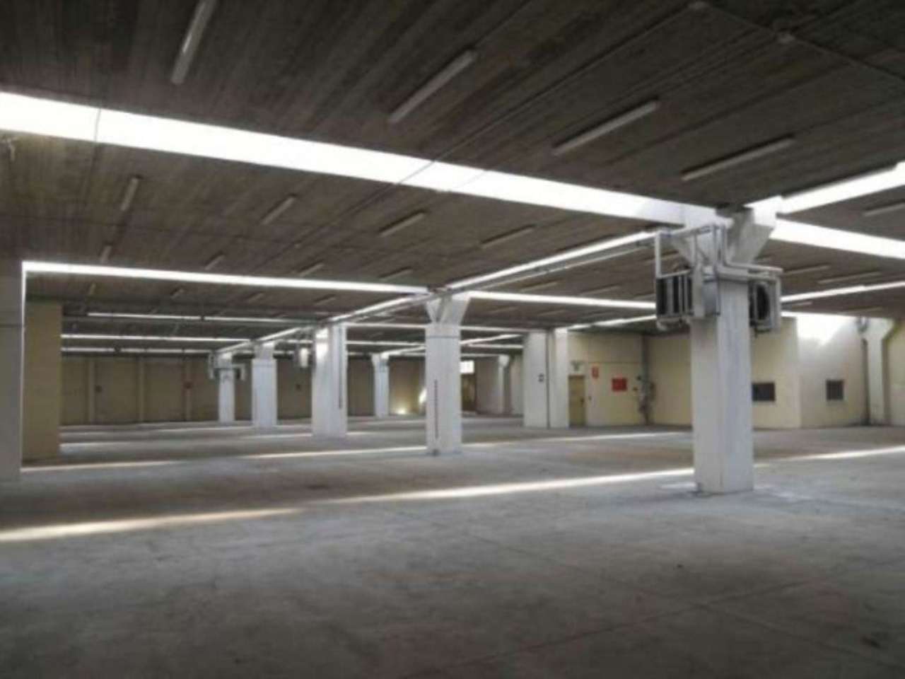  torino affitto quart: falchera edilcase