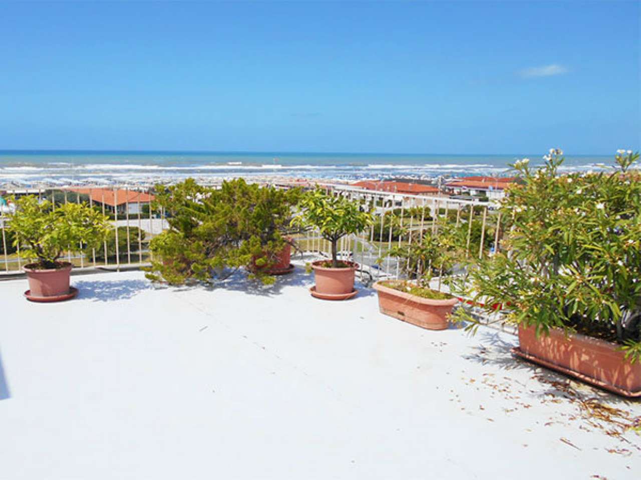 Attico VIAREGGIO vendita   Alfredo Belluomini Callegari Immobiliare