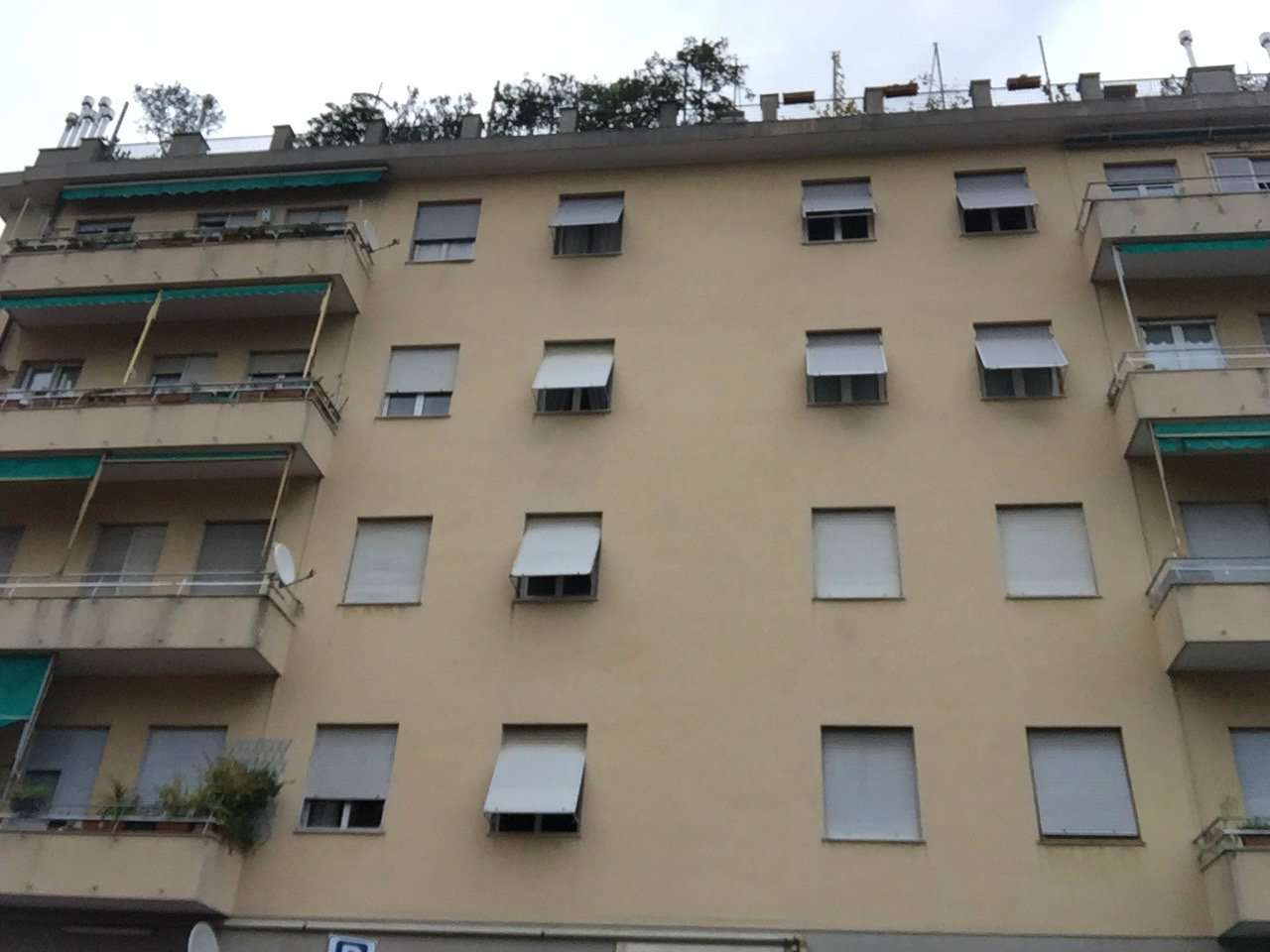  genova vendita quart: castelletto callegari immobiliare