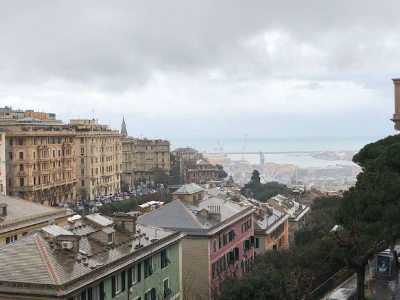 Appartamento GENOVA vendita  CASTELLETTO Firenze Callegari Immobiliare