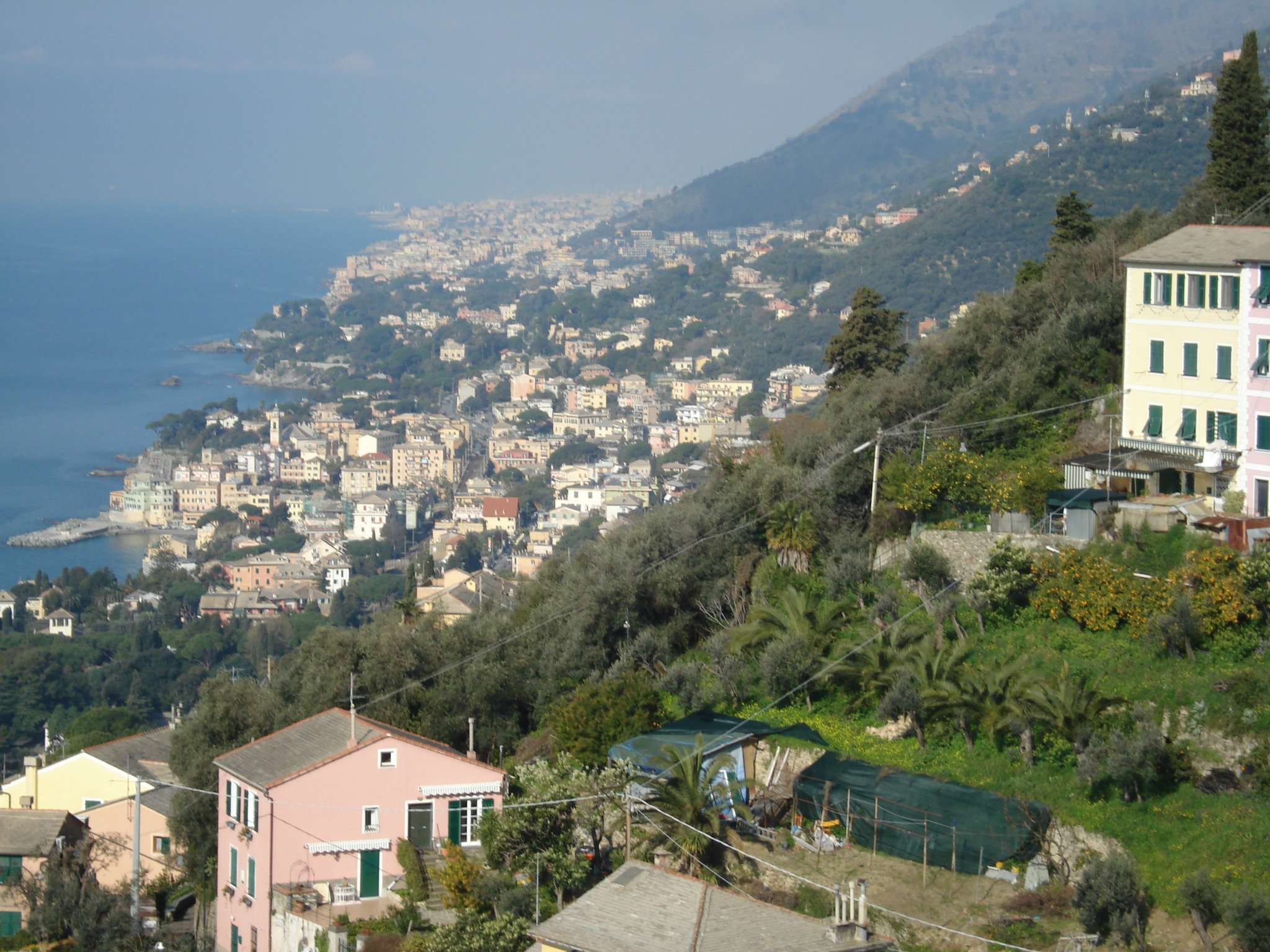 Villa Unifamiliare - Indipendente PIEVE LIGURE vendita   Consiglieri Callegari Immobiliare