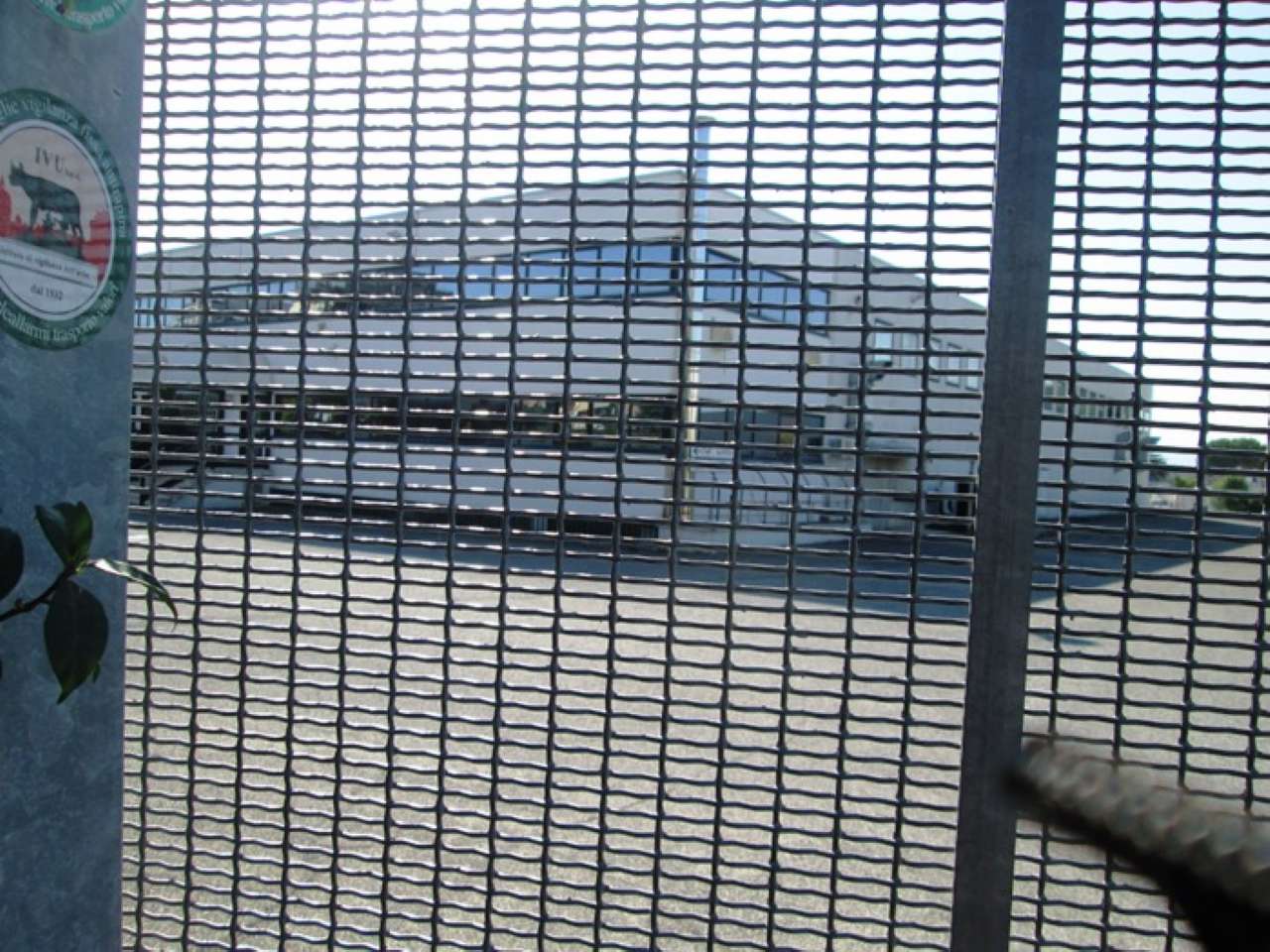 Capannoni (Tutti) ROMA affitto  Tiburtina Cerchiara MANCINI RE IMMOBILIARE