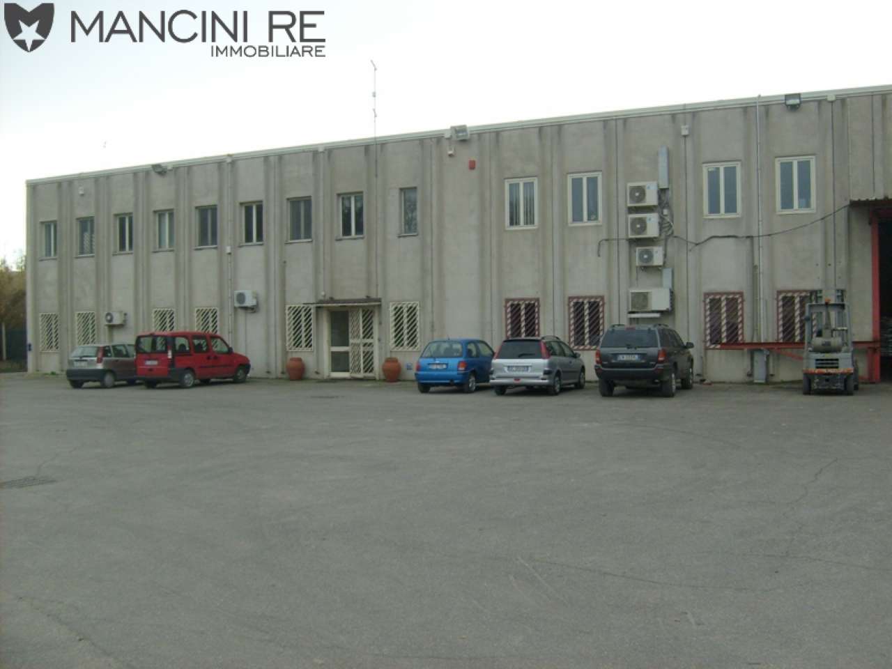  roma affitto quart: portuense (xv mun.) mancini-re-immobiliare