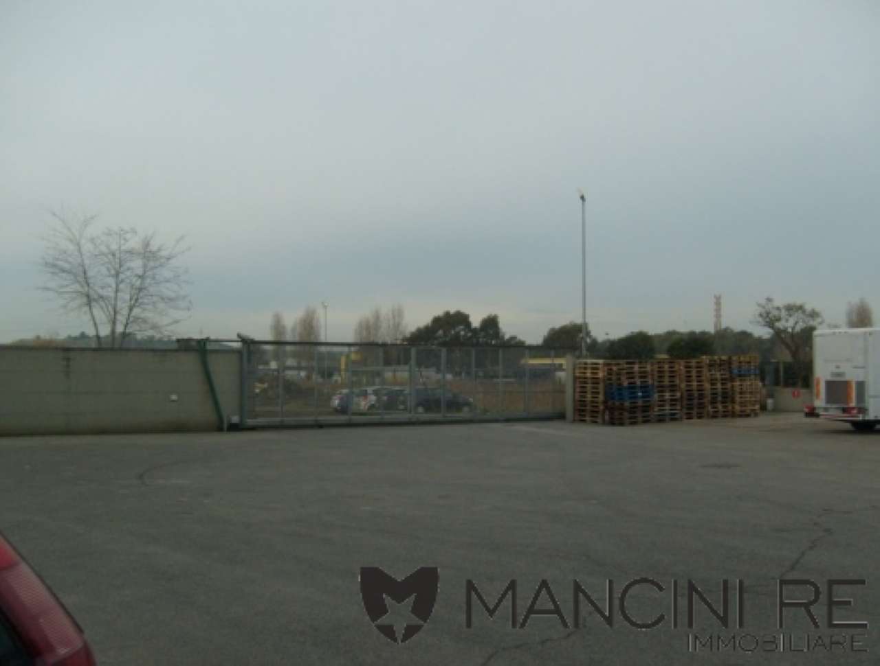 Ufficio - Loc.Com. ROMA affitto  PORTUENSE (XV MUN.) della Pisana MANCINI RE IMMOBILIARE