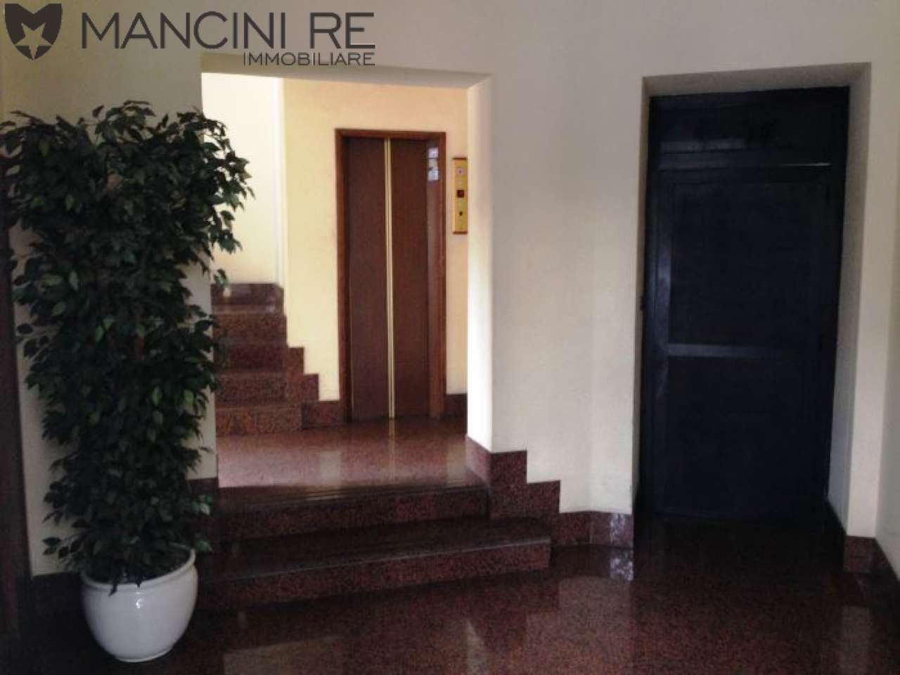 Ufficio - Loc.Com. ROMA affitto  PRATI della Libertà MANCINI RE IMMOBILIARE