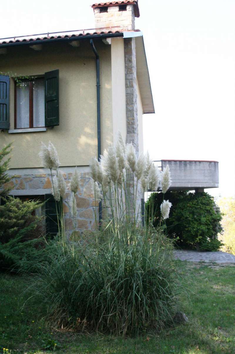 Villa MONZUNO vendita   Giovanni Verga Affiliato Gabetti - 4 Immobiliare s.r.l.