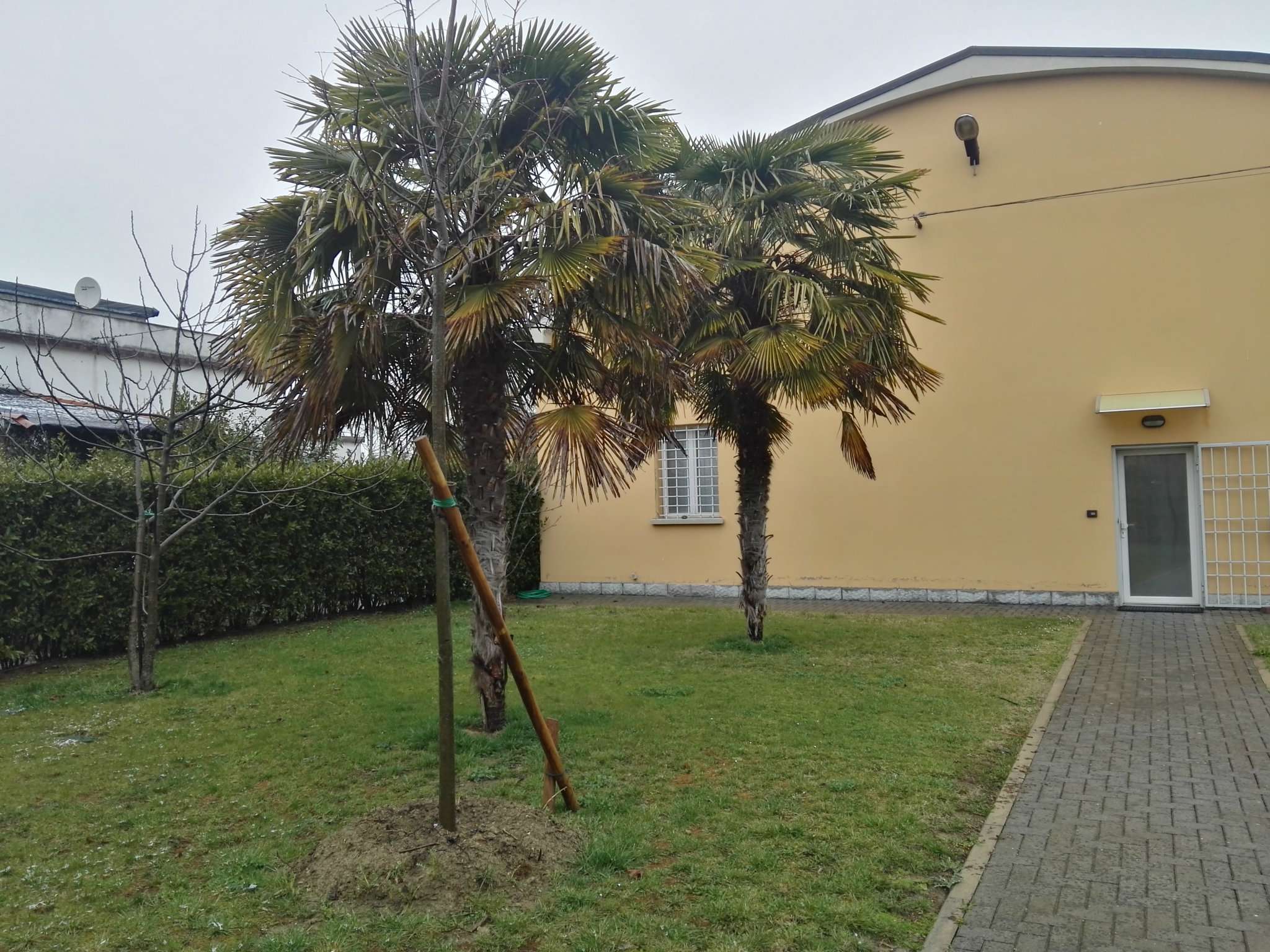 Capannoni (Tutti) BOLOGNA vendita  CORTICELLA Della Casa Buia Affiliato Gabetti - 4 Immobiliare s.r.l.
