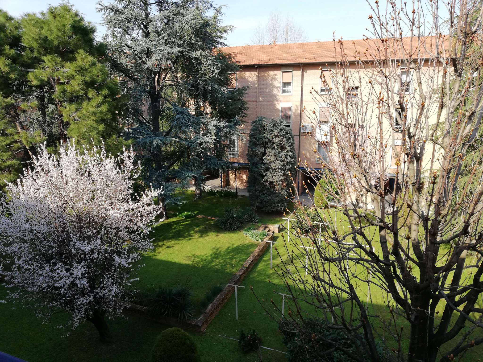 Appartamento BOLOGNA vendita  MAZZINI Sesto san giovanni Affiliato Gabetti - 4 Immobiliare s.r.l.