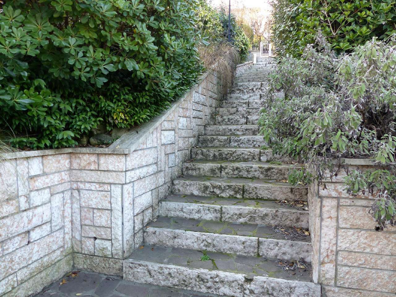 Villa Bifamiliare SASSO MARCONI vendita   albani NILO SRL