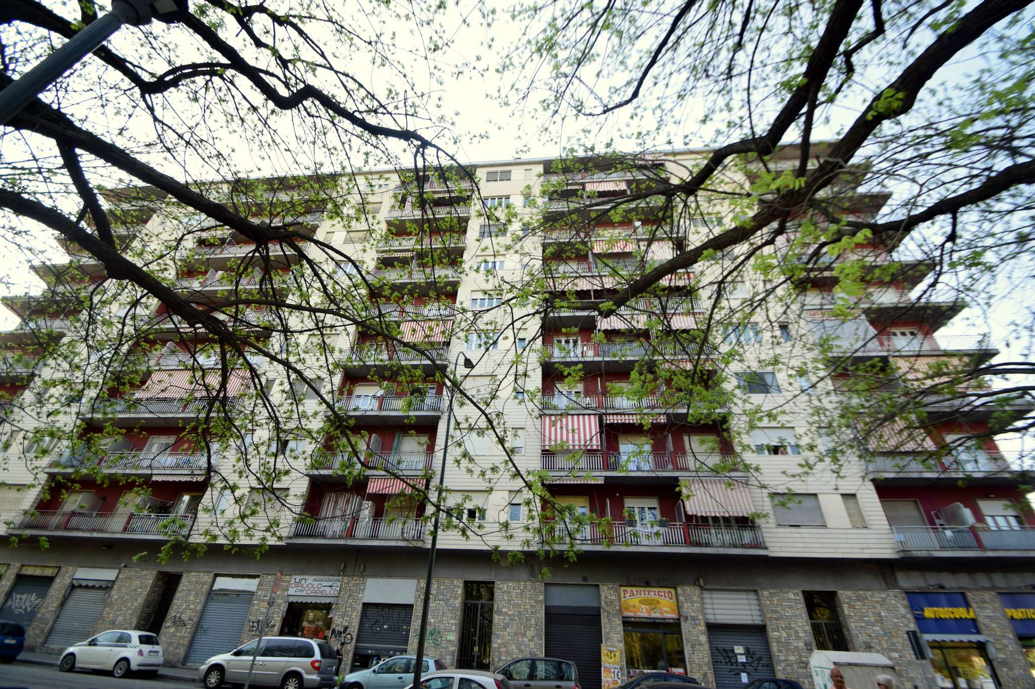 Appartamento TORINO vendita  Barriera di milano Sofia Mosso Studio Tecnico Immobiliare