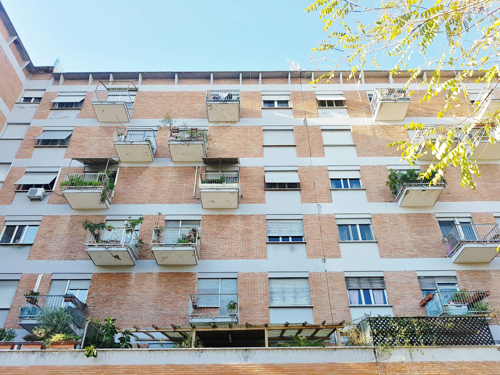 Appartamento ROMA vendita  PORTUENSE (XV MUN.) Gaetano Astolfi Grasso Group Srl