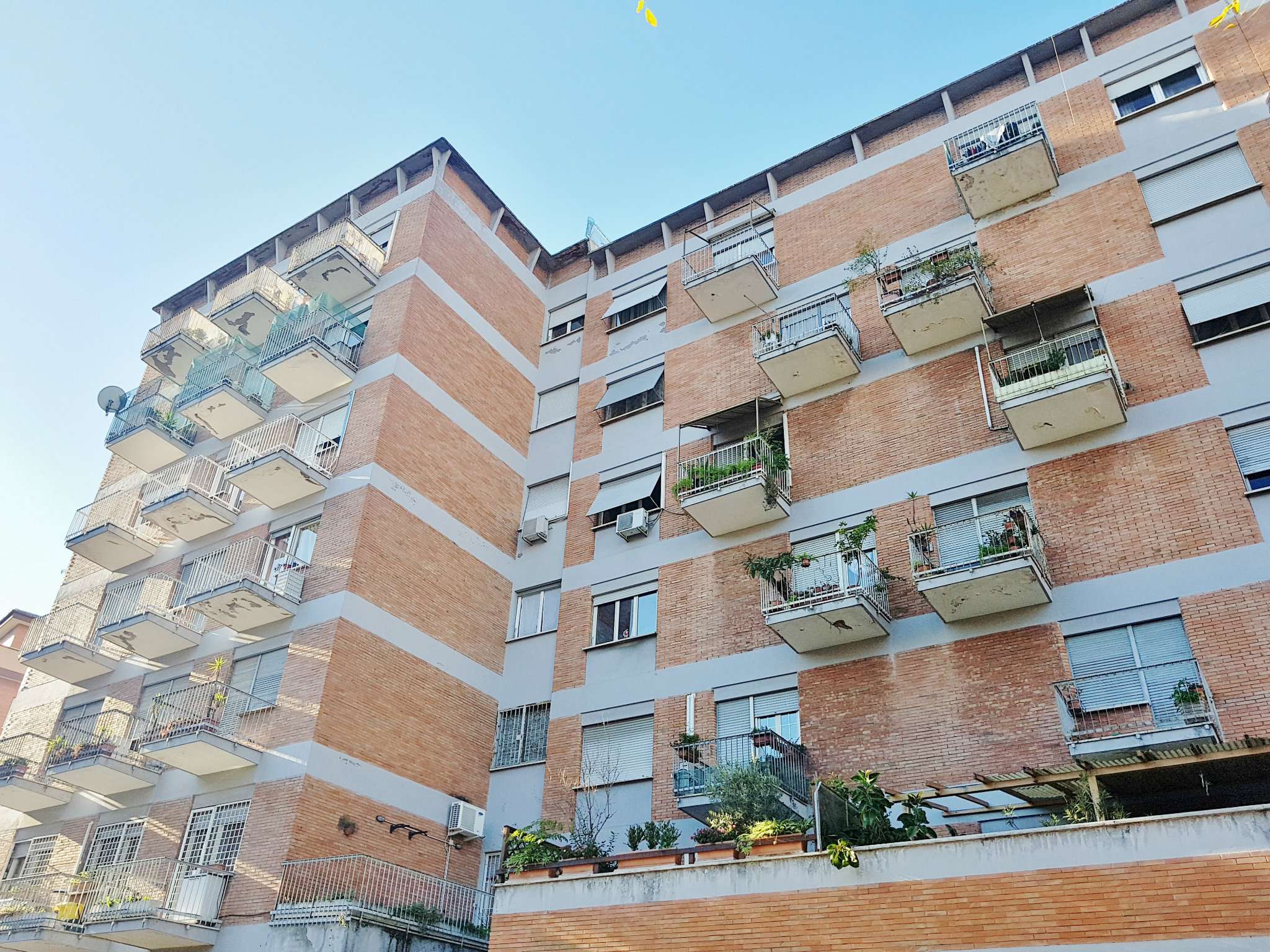 Appartamento ROMA vendita  PORTUENSE (XV MUN.) Gaetano Astolfi Grasso Group Srl