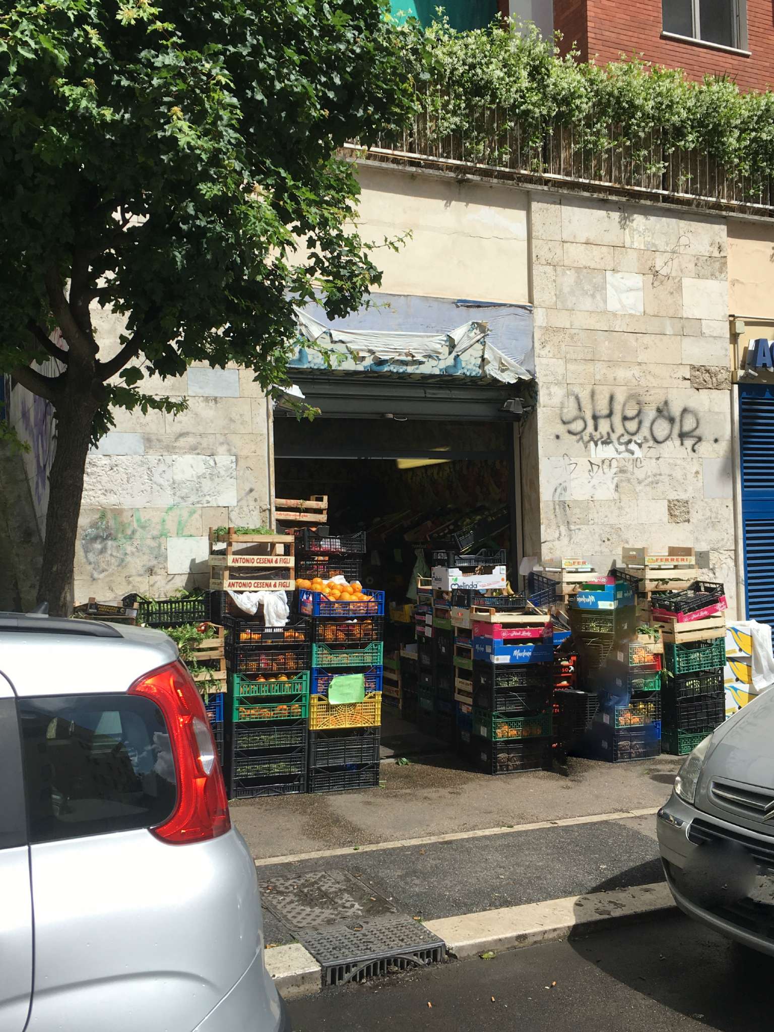 Negozio - Loc.Com. ROMA vendita  GIANICOLENSE (XV MUN.) Fonteiana Grasso Group Srl