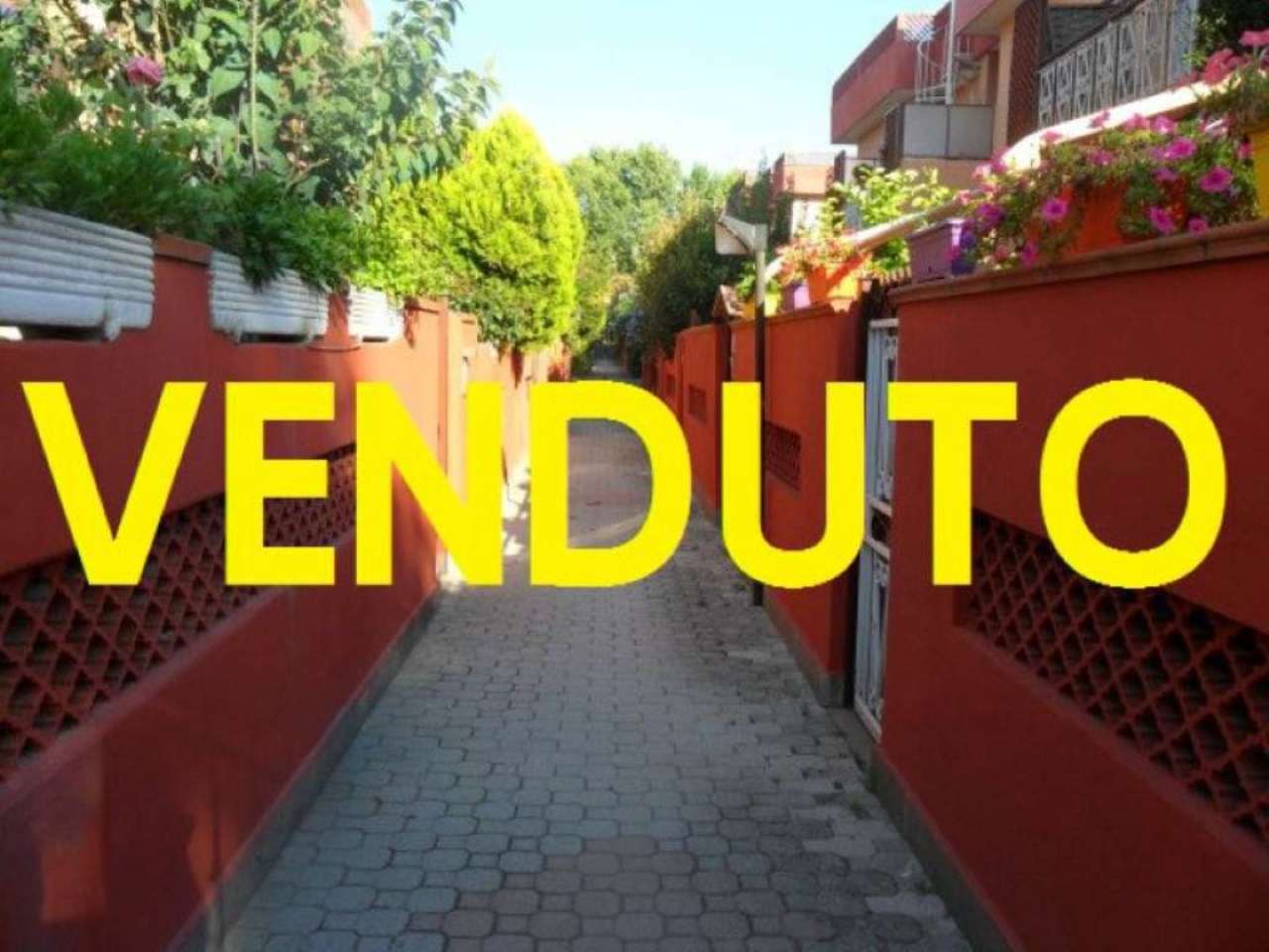  ladispoli vendita quart:  vreimmobiliare-agus-group