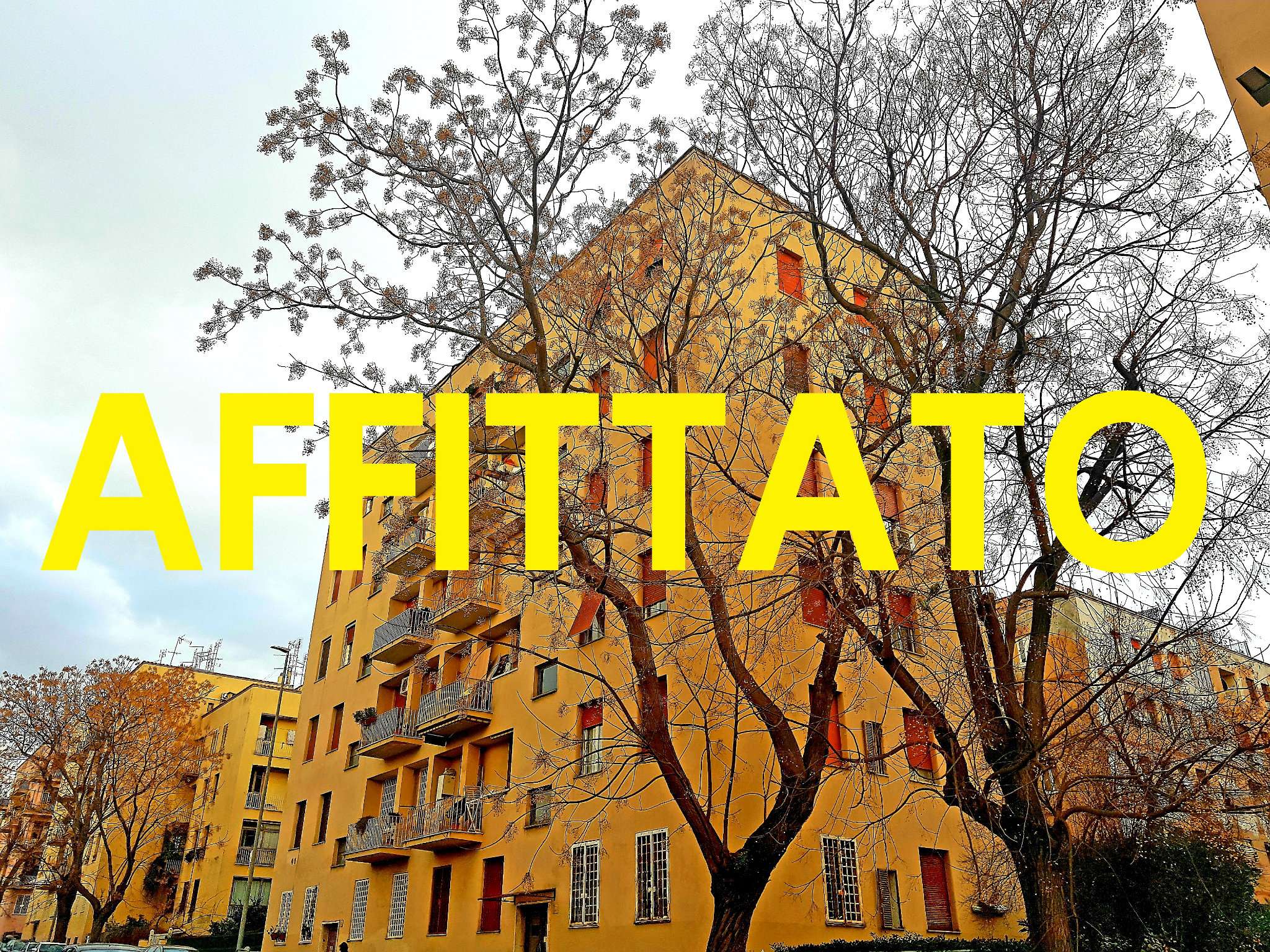  roma affitto quart: ardeatino  vreimmobiliare - agus group