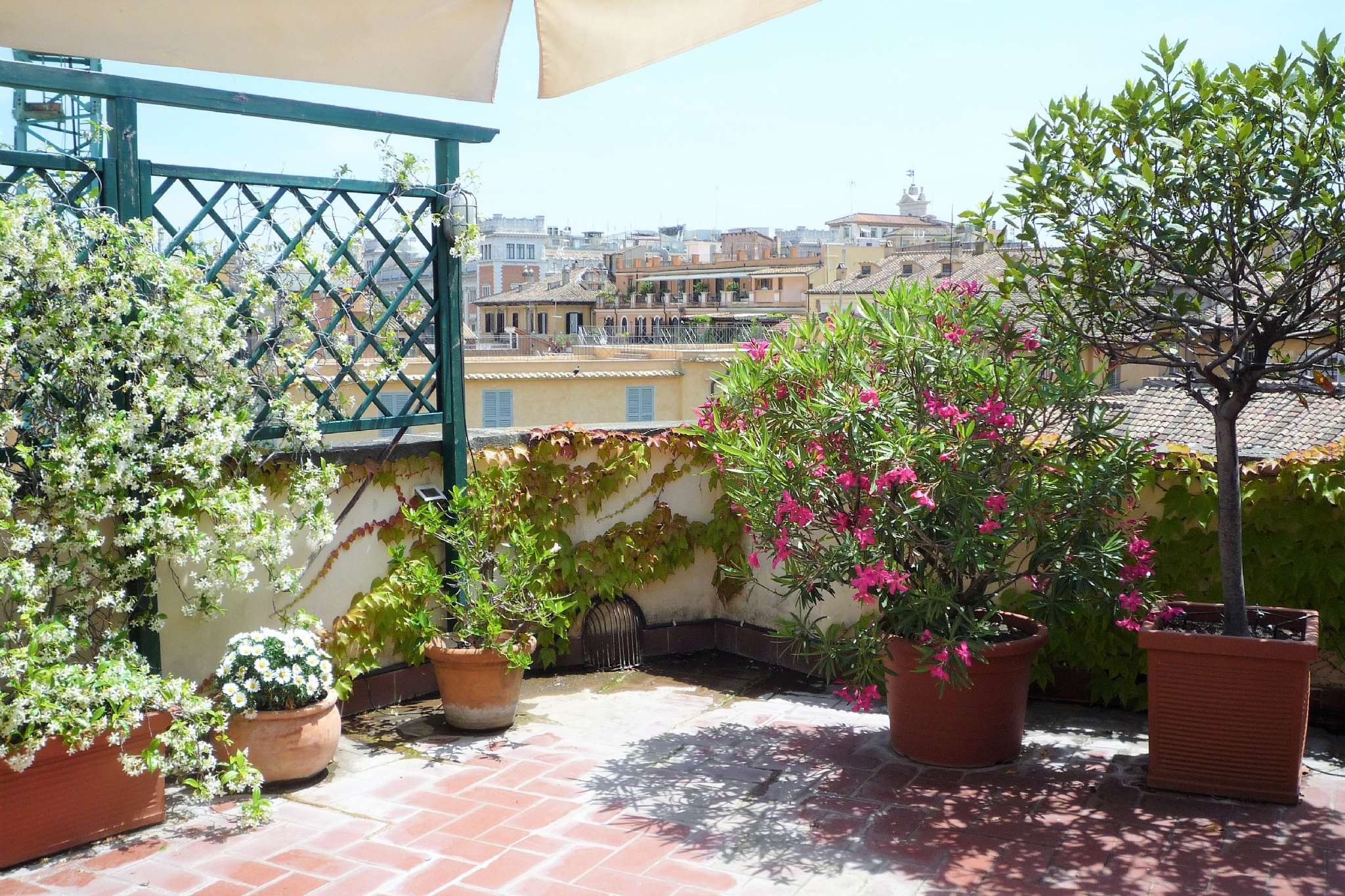  roma affitto quart: centro storico cioli&rismondo roma centro storico r.e.