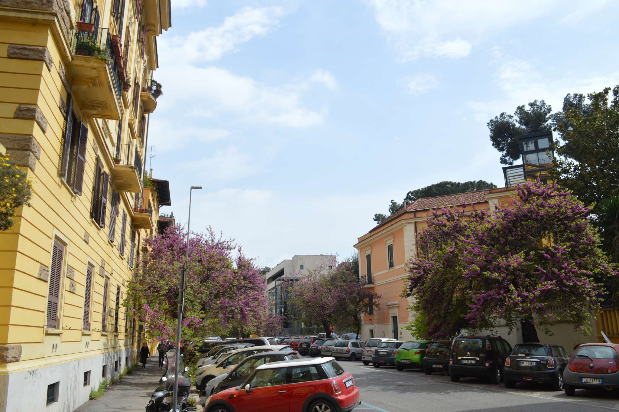 Appartamento ROMA affitto  NOMENTANO  Treviso Cioli&Rismondo Roma Centro Storico R.E.