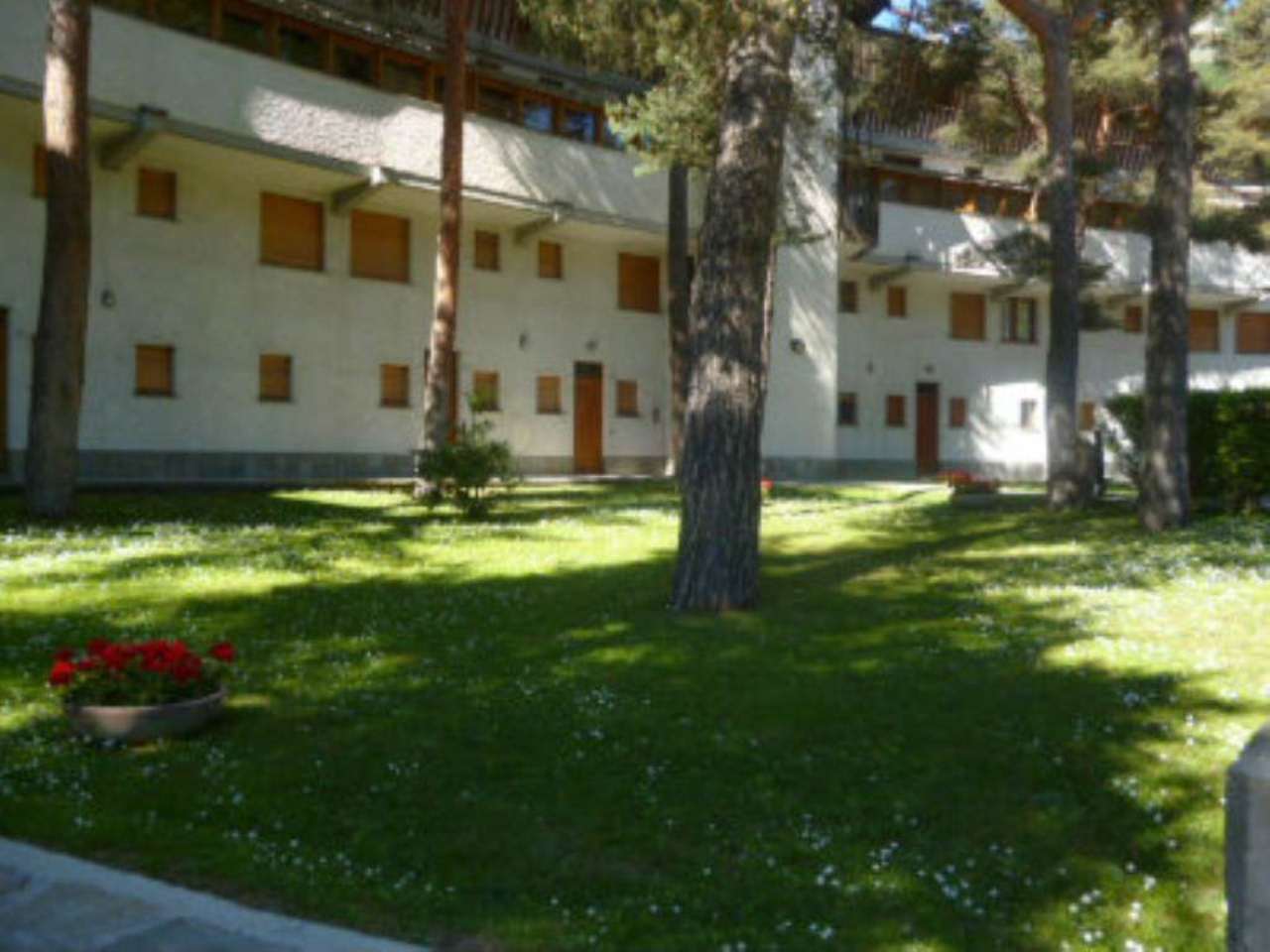 Appartamento BARDONECCHIA vendita   Roma IMMOBILIARE PINELLI