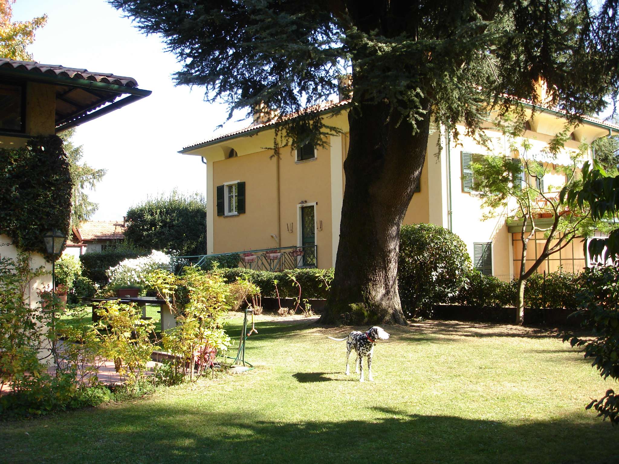 Villa TREMEZZINA vendita    SFORZA VENDITE IMMOBILIARI SNC