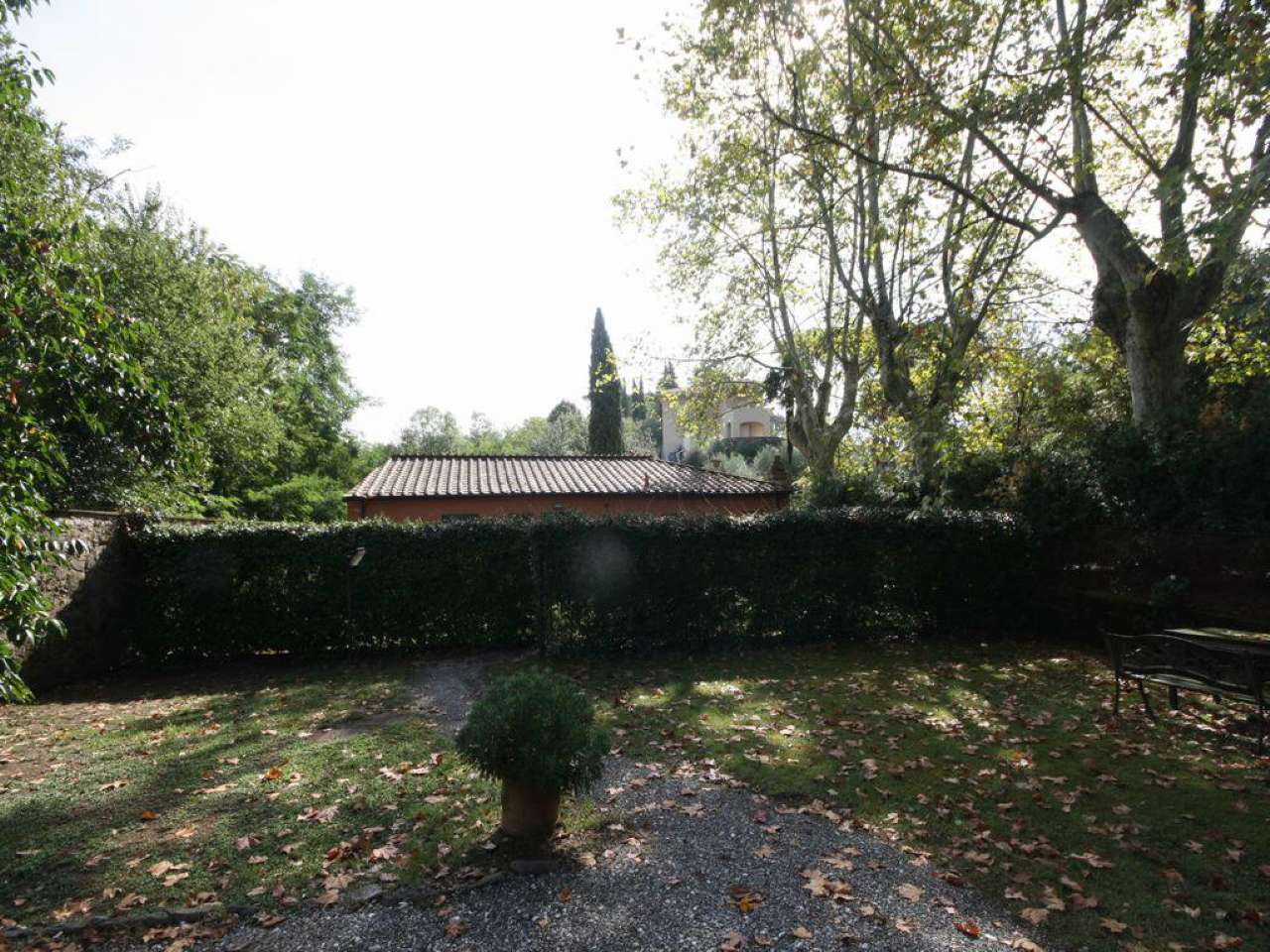 Villa Unifamiliare - Indipendente LUCCA affitto  MONTE SAN QUIRICO dei Bruschini Punto Affitto